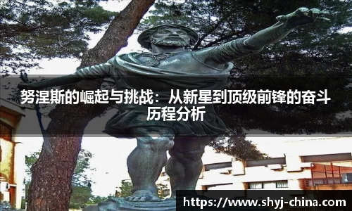 努涅斯的崛起与挑战：从新星到顶级前锋的奋斗历程分析