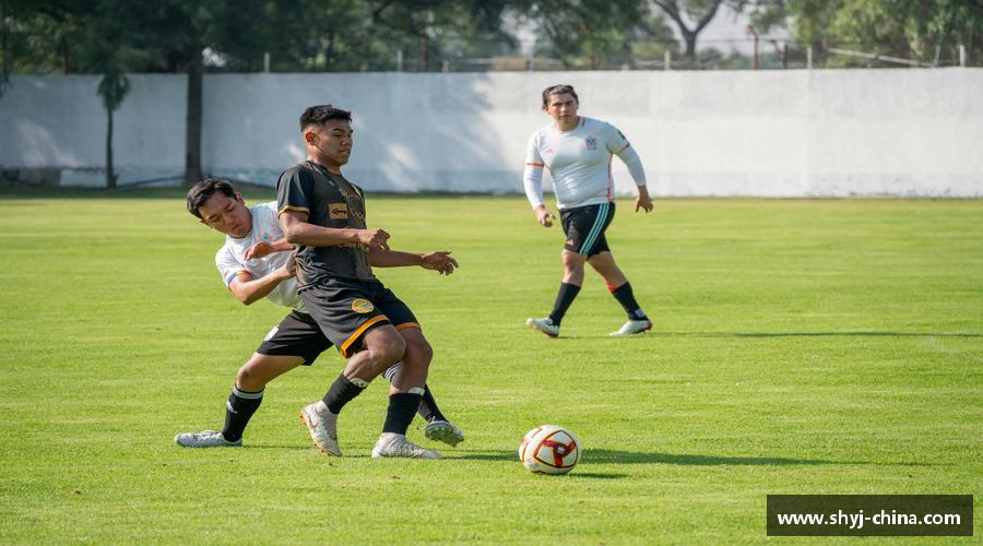 精彩瞬间，尽在体育